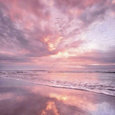 十堰地产网截图